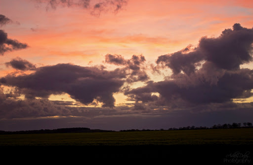 An Afternoon in Ghent An Afternoon in Ghent