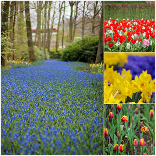 Netherlands with Kids