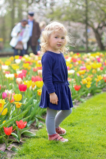 The Netherlands with Kids