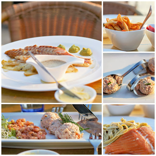 The Netherlands with Kids