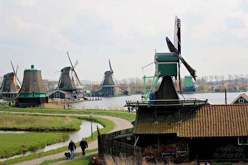 The Netherlands with Kids