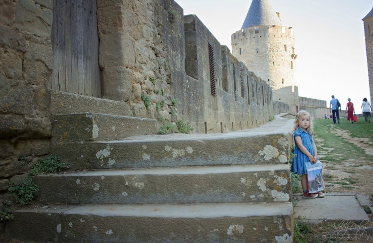 Carcassonne (10)