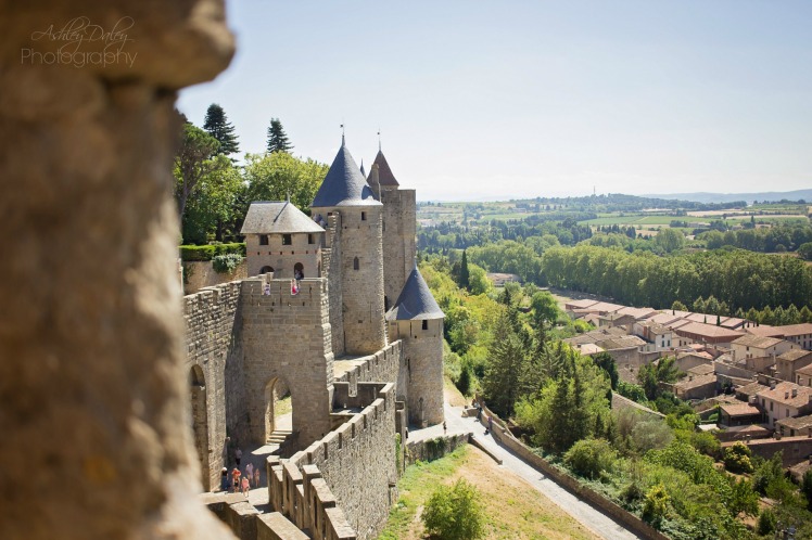 Carcassonne (3)