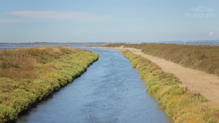 south-of-france-with-kids-mediterranean-7