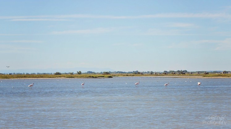 south-of-france-with-kids-mediterranean-9