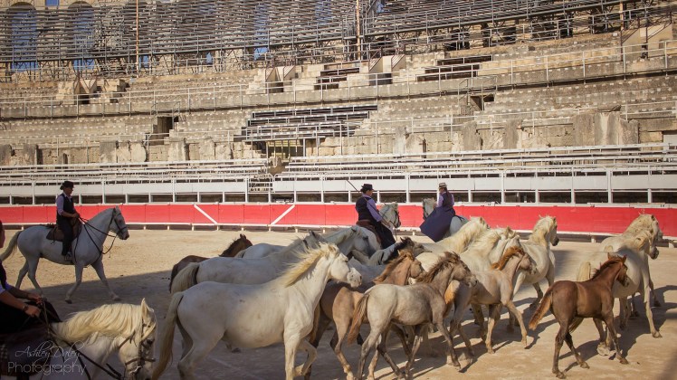 south-of-france-with-kids-arles-17