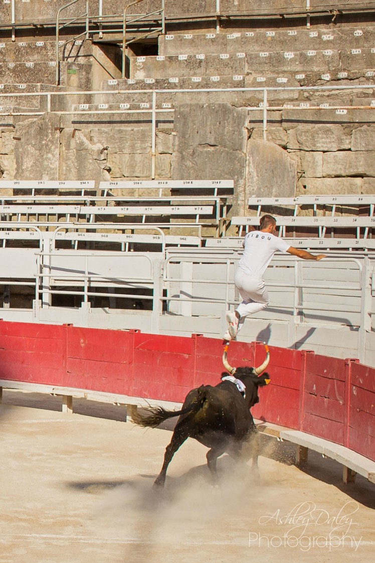 south-of-france-with-kids-arles-18