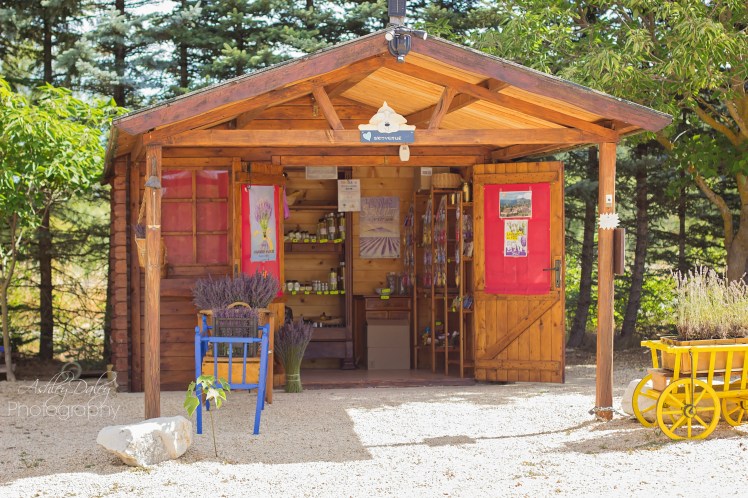 south-of-france-with-kids-sault-3