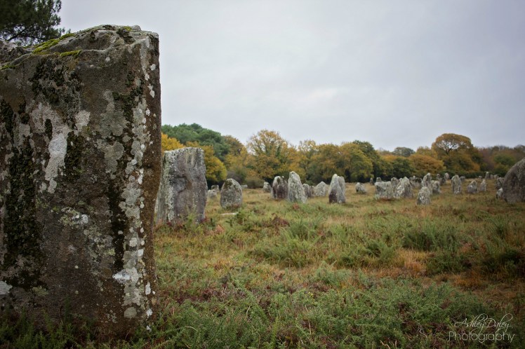 brittany-with-kids-carnac-22copy