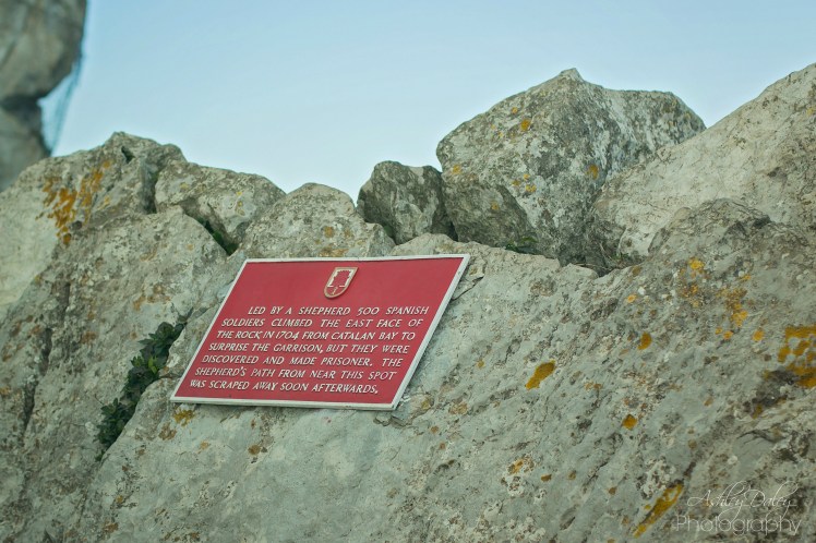 andalucia-with-kids-gibraltar-13