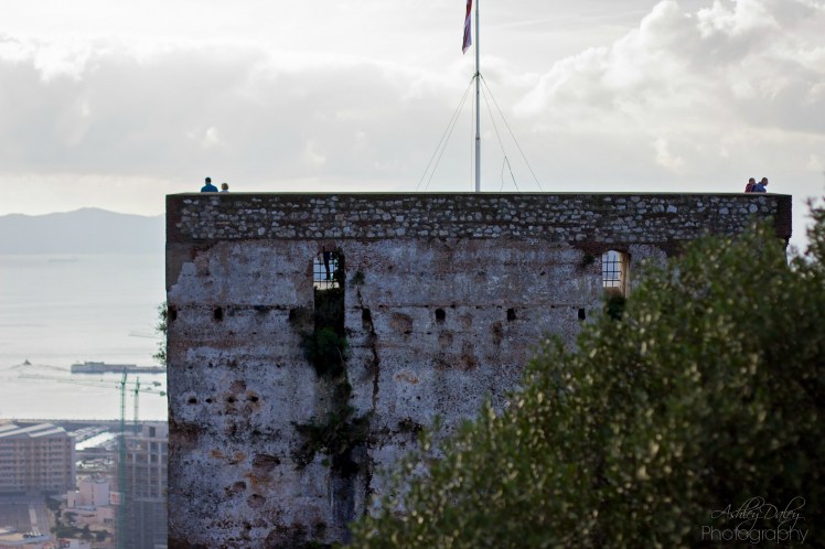 andalucia-with-kids-gibraltar-23