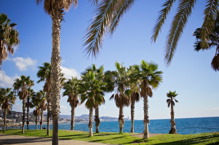 andalucia-with-kids-malaga-3