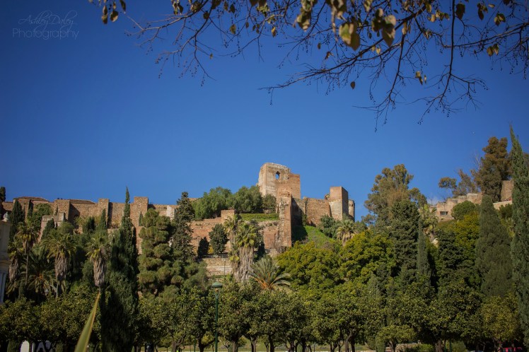 andalucia-with-kids-malaga-8