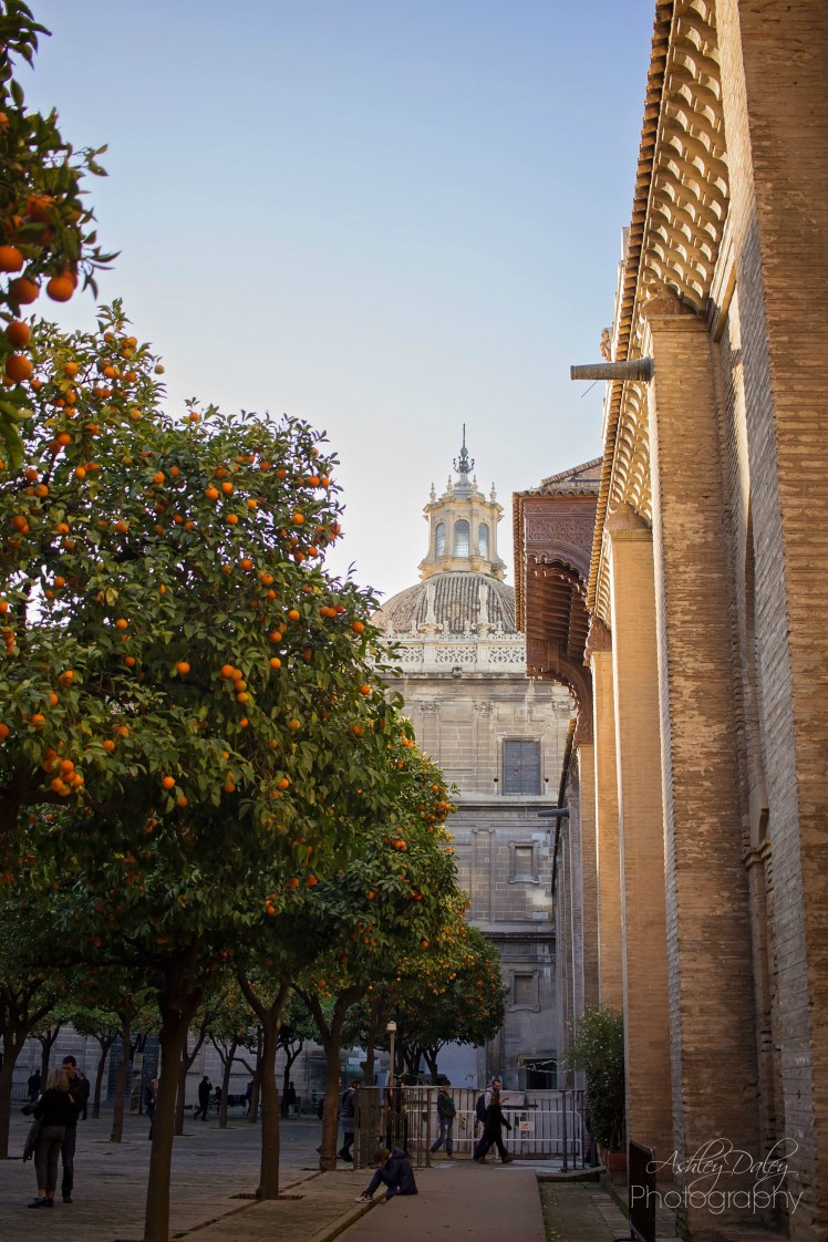 andalucia-with-kids-seville-41
