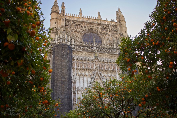 andalucia-with-kids-seville-42