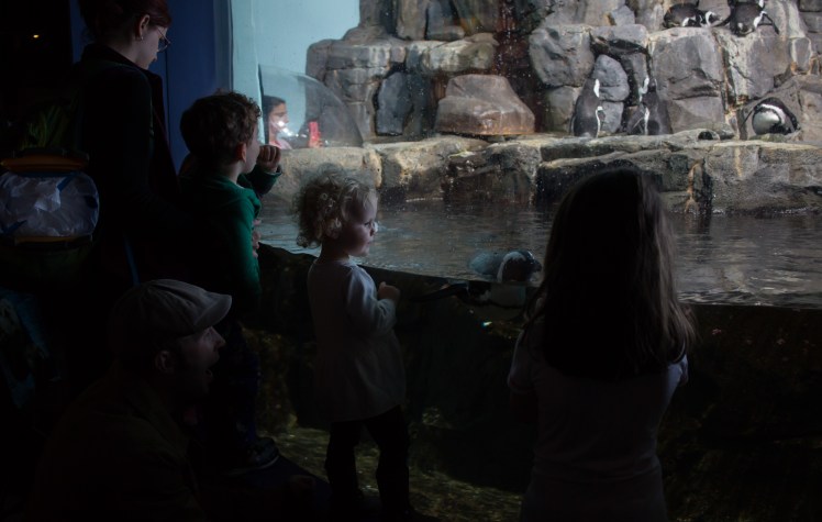 5 Places to Visit In Northern CA with Kids