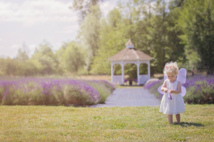 MoreLavenderwithKids (11)