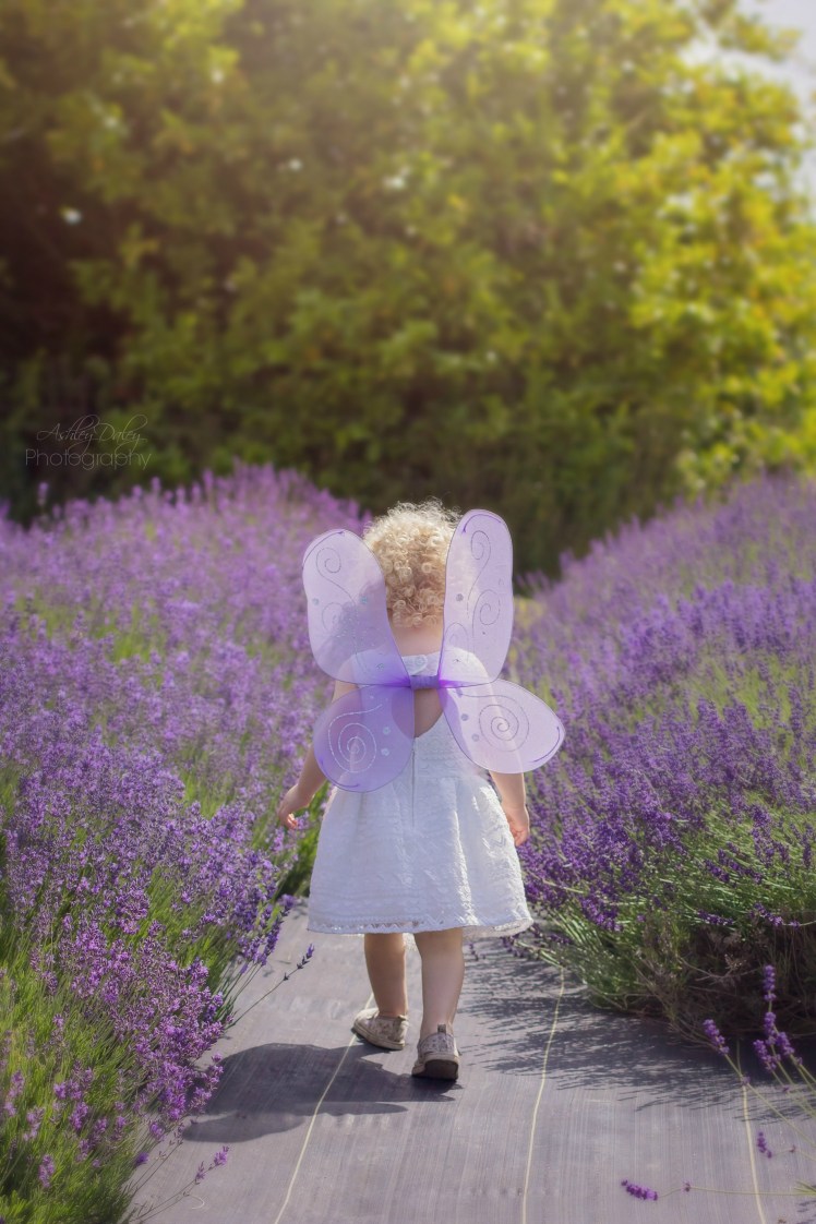 MoreLavenderwithKids (3)