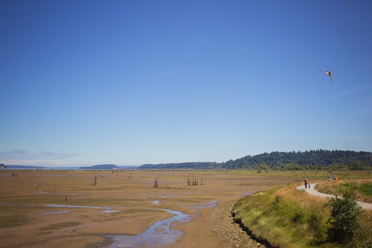 Nisqually Wildlife Refuge with Kids