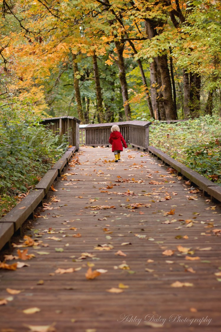Nisqually Wildlife Refuge with Kids