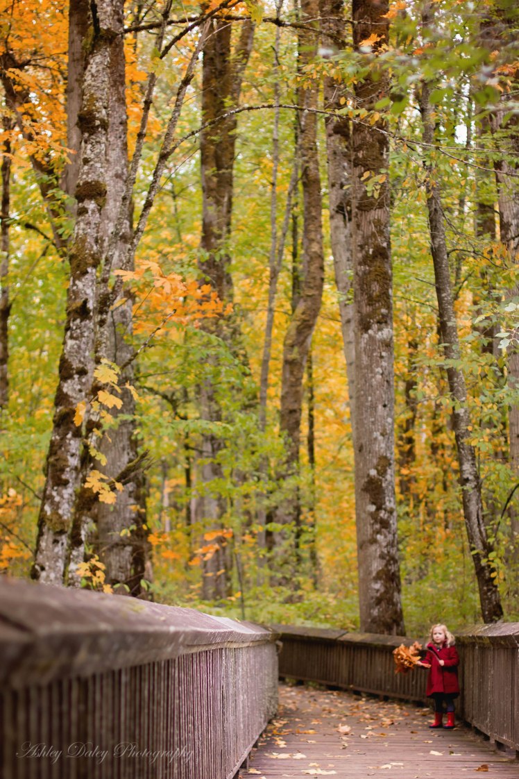 Nisqually Wildlife Refuge with Kids