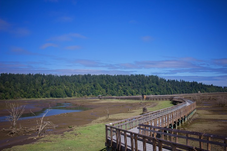 Nisqually Wildlife Refuge with Kids