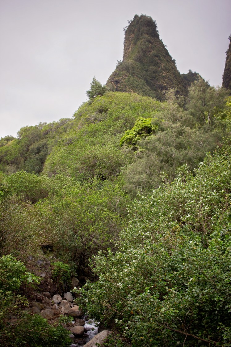 Maui With Kids | Iao Valley