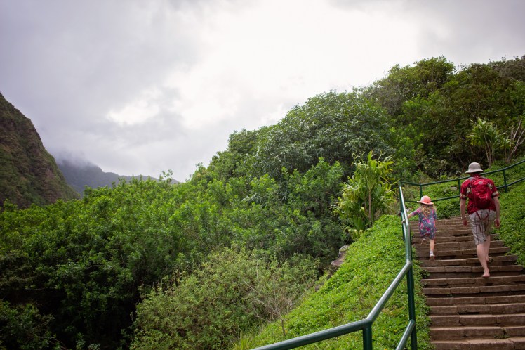 Maui With Kids | Iao Valley