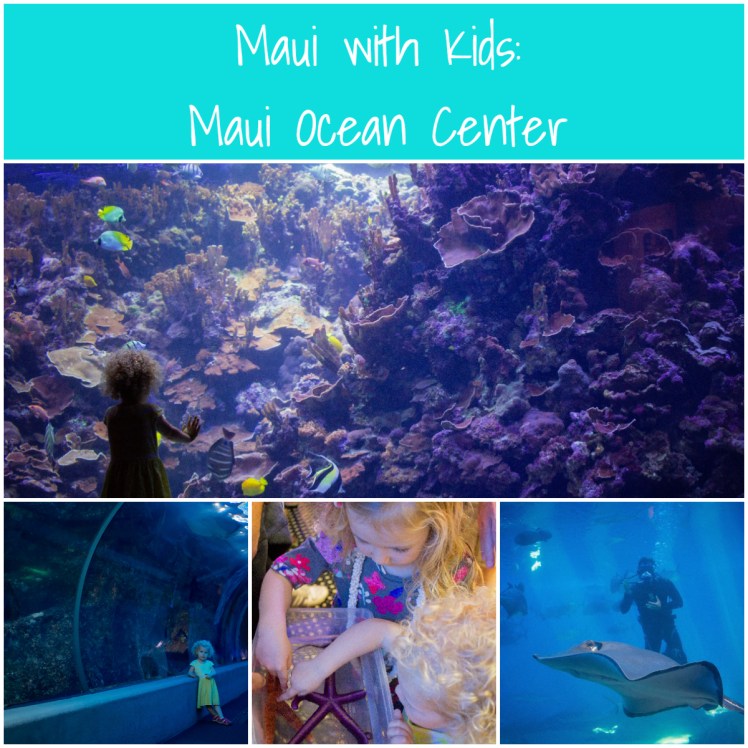 Maui with Kids Maui Ocean Center (2)