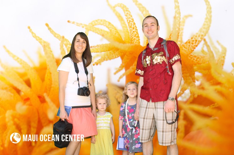 Maui with Kids Maui Ocean Center