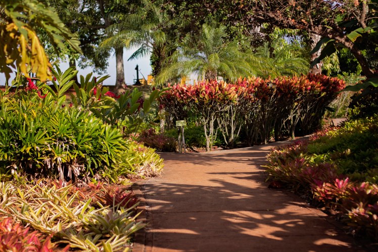 oahu with kids dole plantation