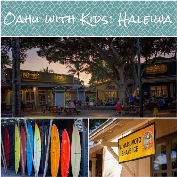 oahu with kids haleiwa