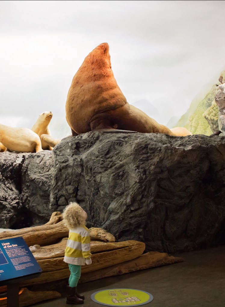 Victoria with Kids Royal BC Museum
