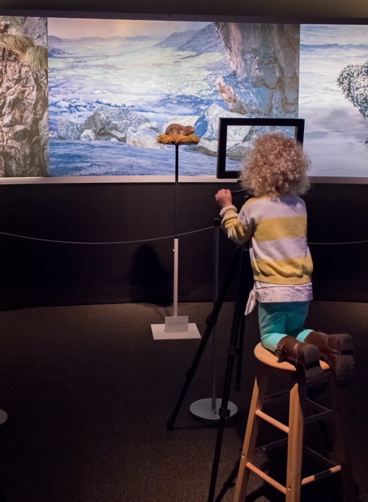 Victoria with Kids Royal BC Museum