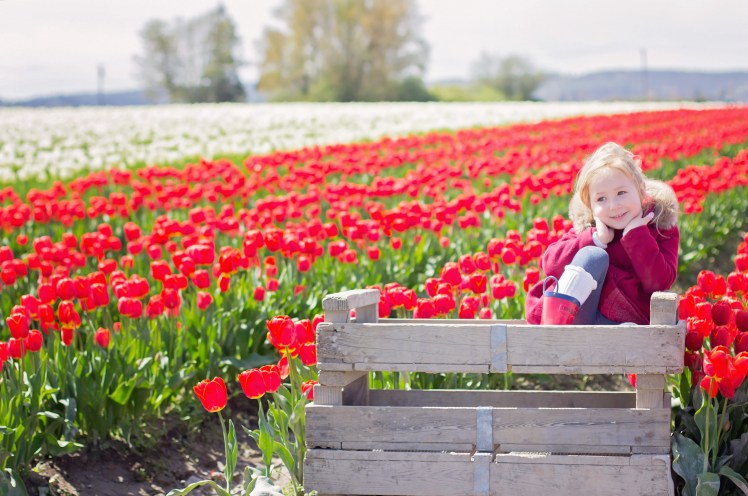 Skagit Valley Tulip Festival with Kids