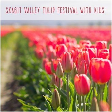 Skagit Valley Tulip Festival with Kids
