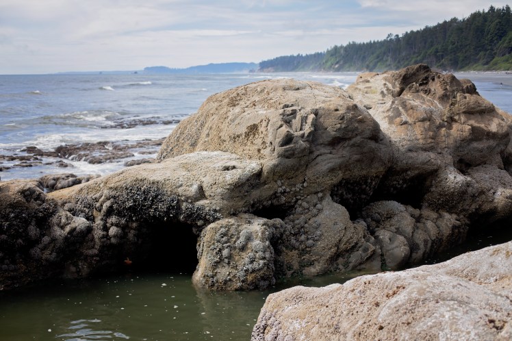 camping at kalaloch with kids