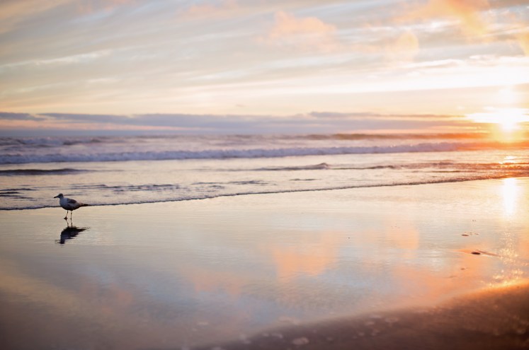 camping at kalaloch with kids
