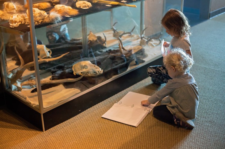 Camping Cape Disappointment with Kids