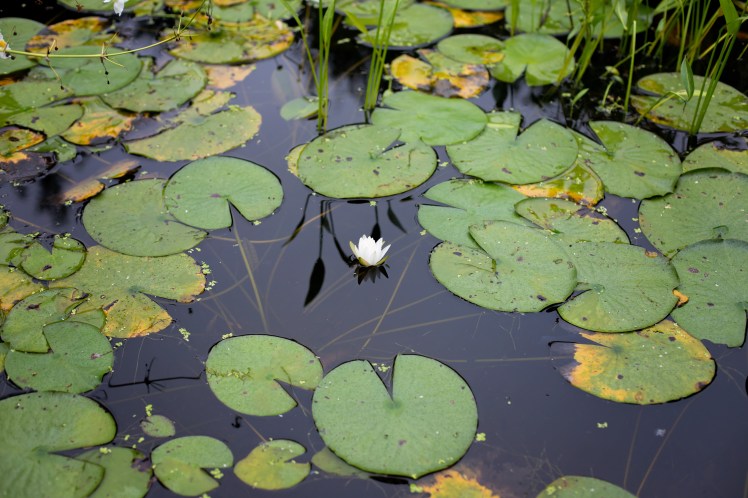 Washington DC with Kids