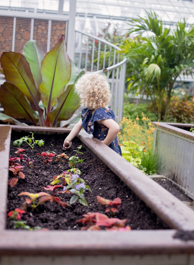 Washington DC with Kids