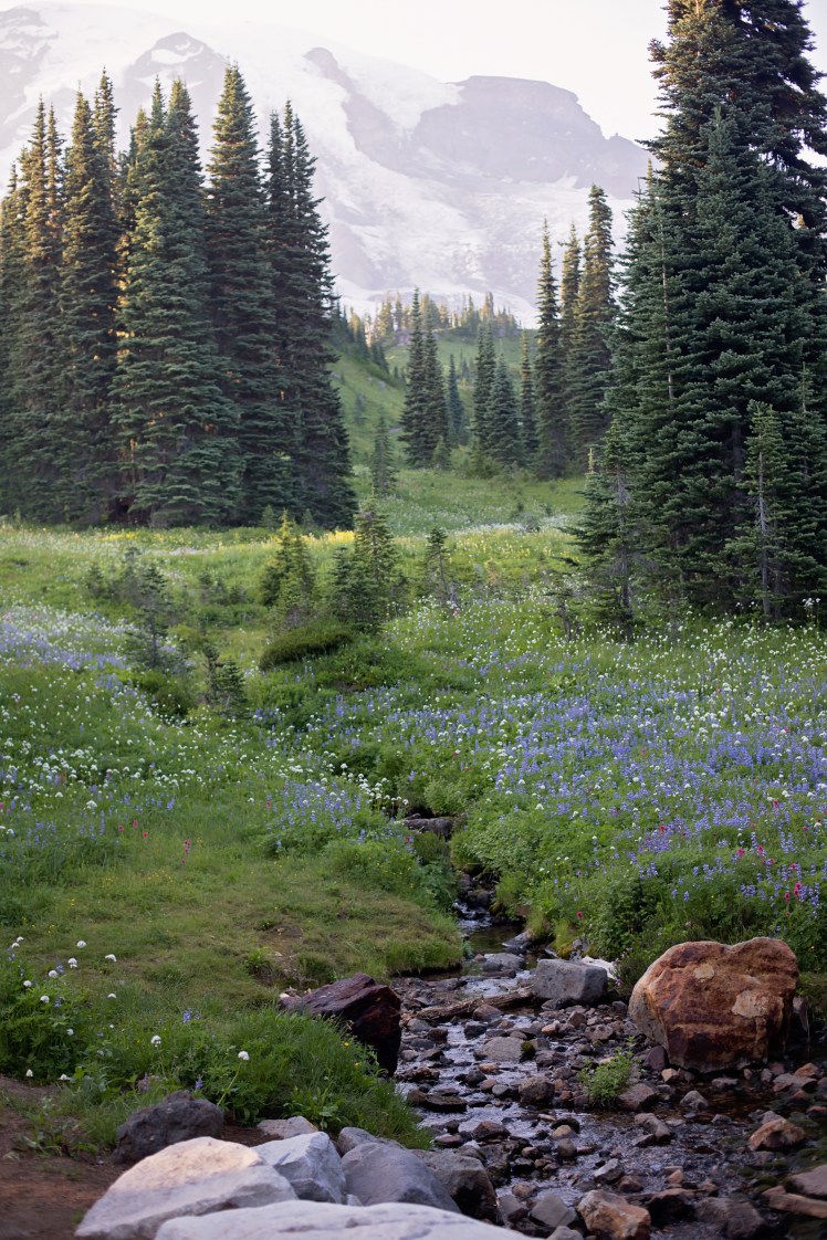 Mount Rainier with Kids