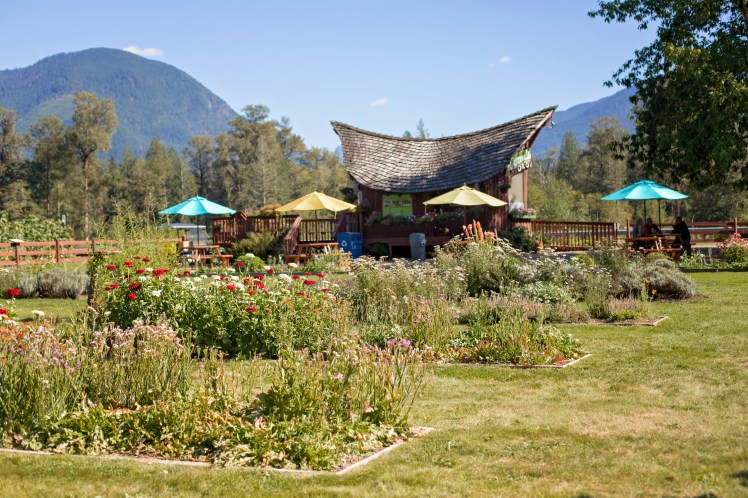 North Cascades National Park with Kids
