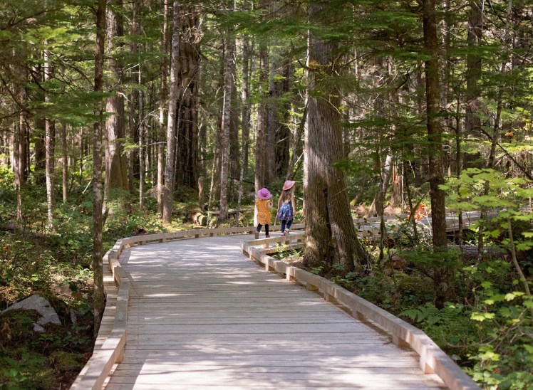 North Cascades National Park with Kids
