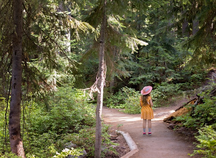 North Cascades National Park with Kids