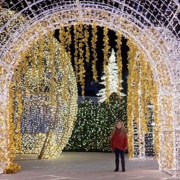 Enchant Seattle with Kids