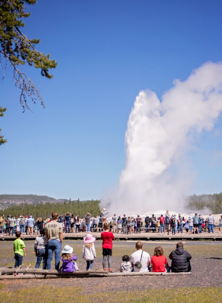 Top 10 Yellowstone with Kids