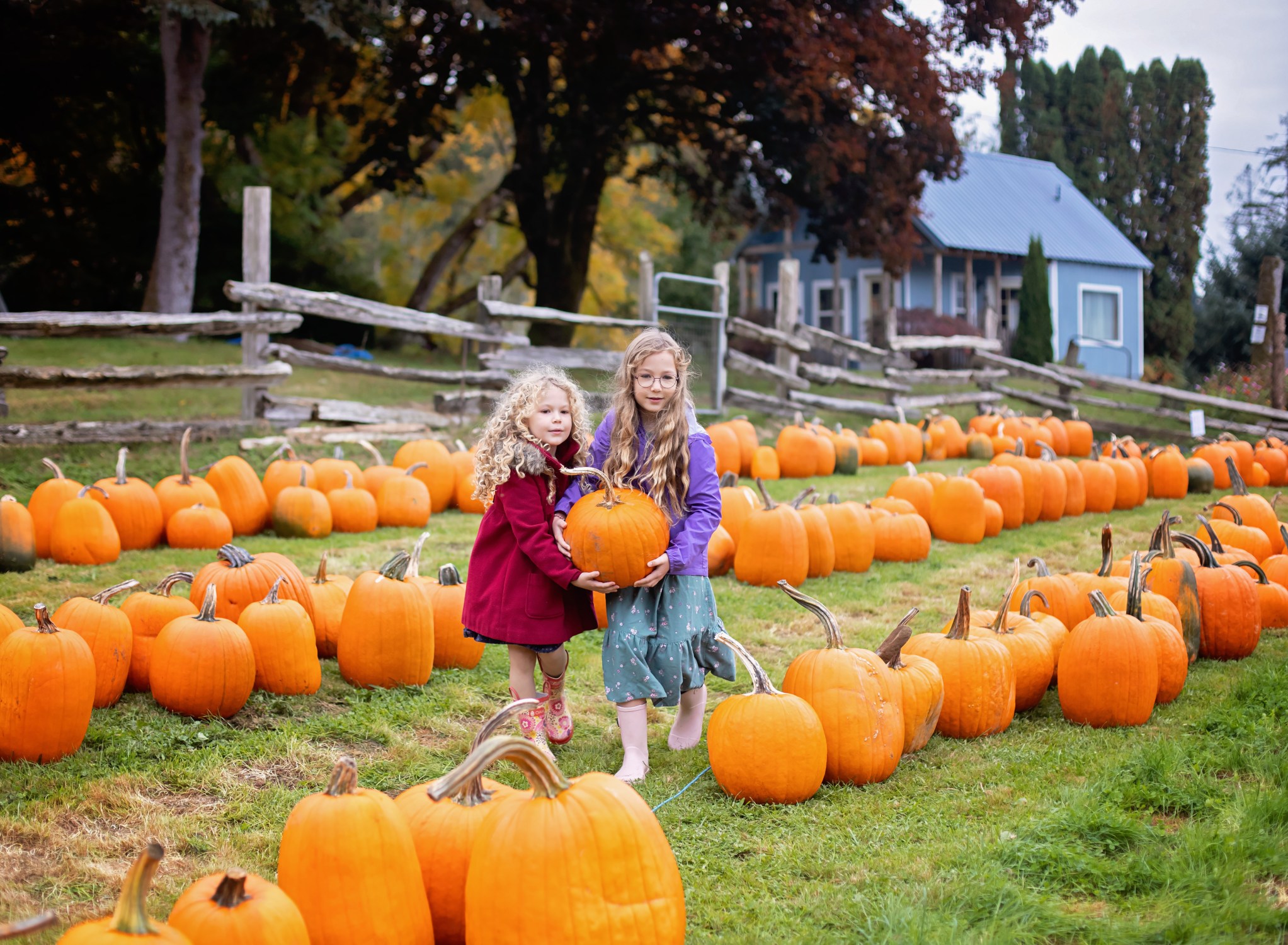 Best Pumpkin Farms in Olympia, WA Daley Family Travels