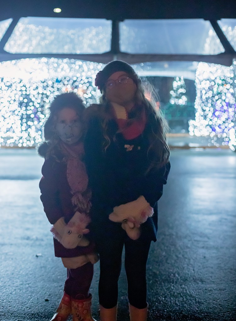 WA State Fair | Holiday Magic